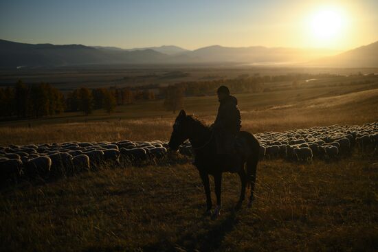Russia Siberia Herding Camp