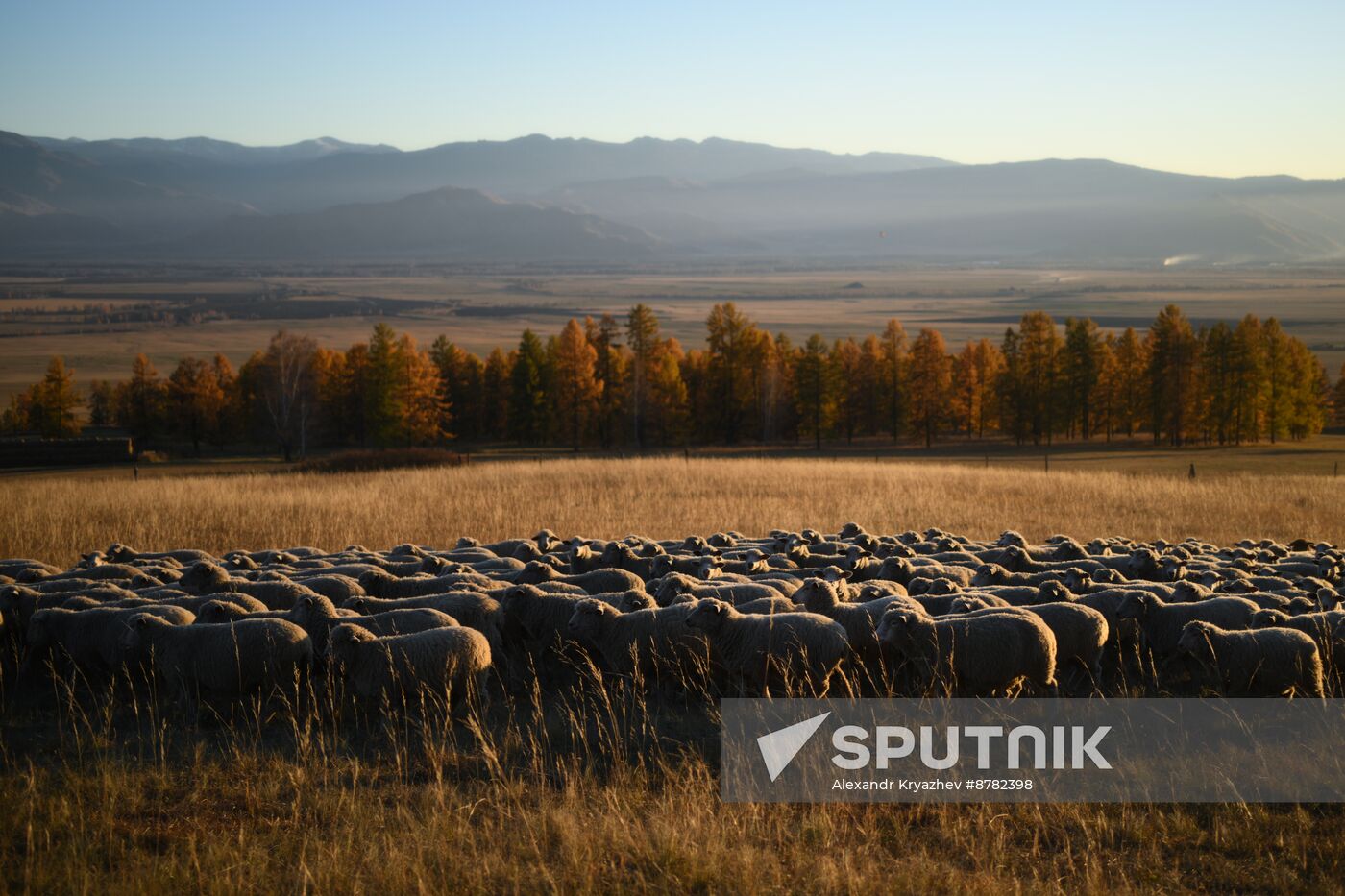 Russia Siberia Herding Camp