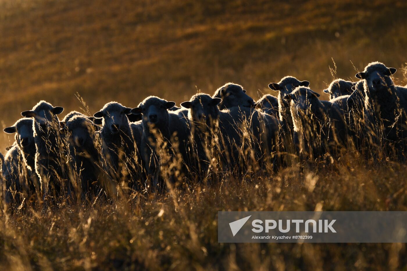 Russia Siberia Herding Camp