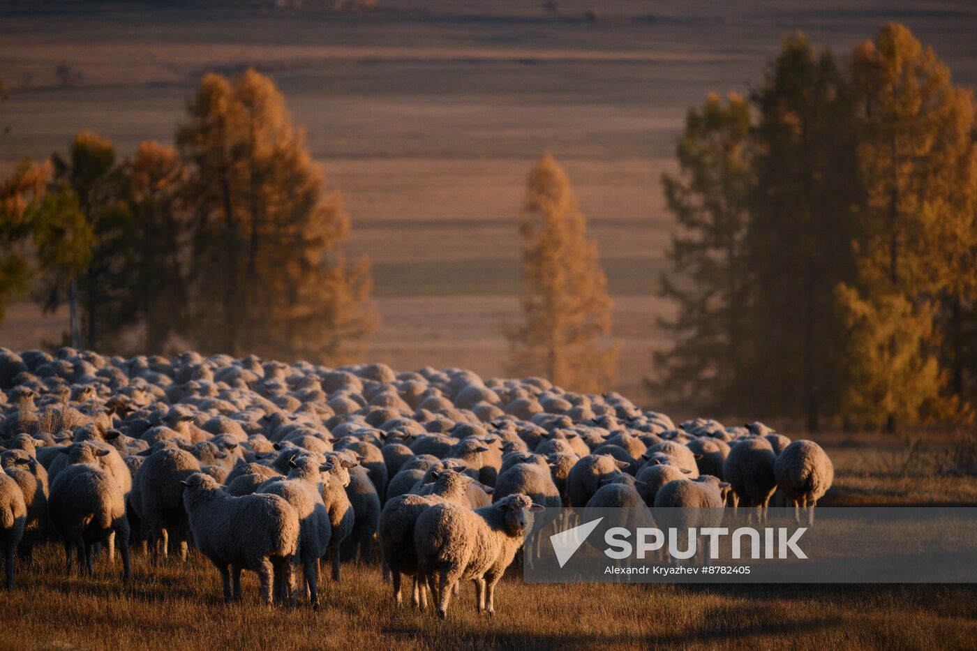 Russia Siberia Herding Camp