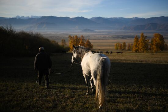 Russia Siberia Herding Camp