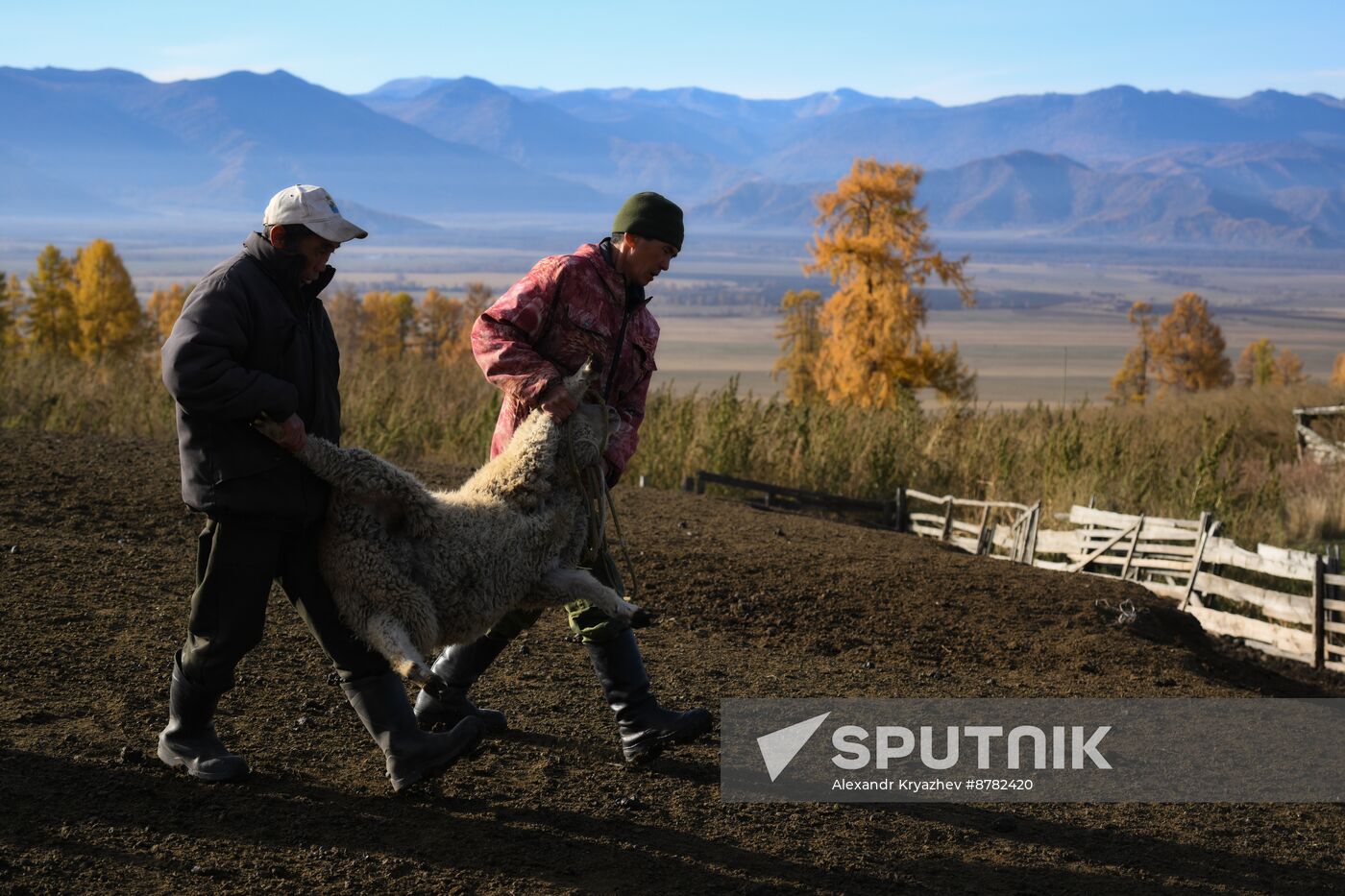 Russia Siberia Herding Camp