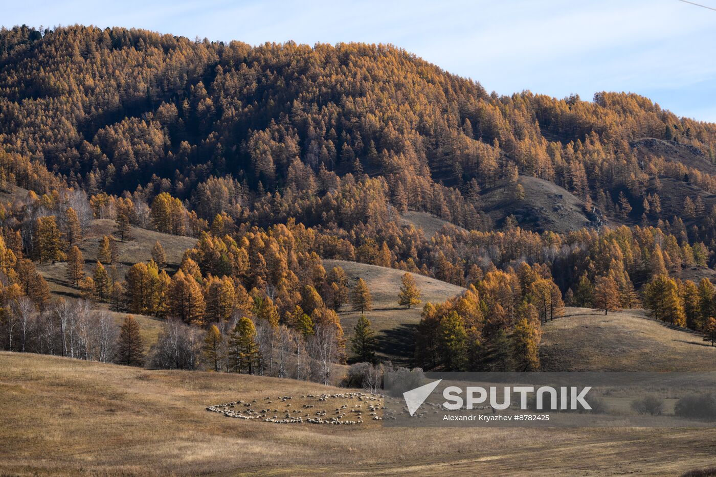 Russia Siberia Herding Camp