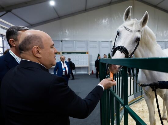 Russia Mishustin Agricultural Exhibition