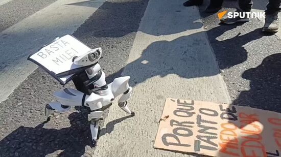 Students protest the Argentinian government's education policy