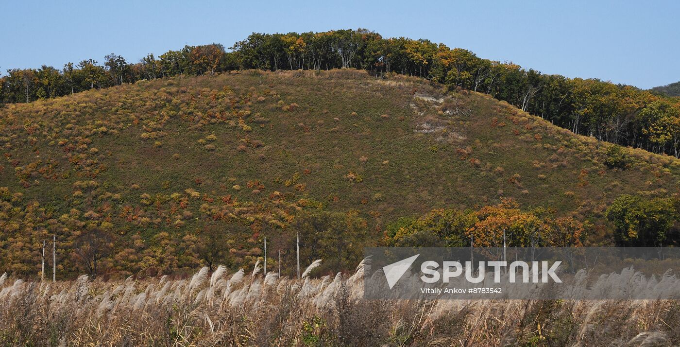 Russia Environment Autumn Season