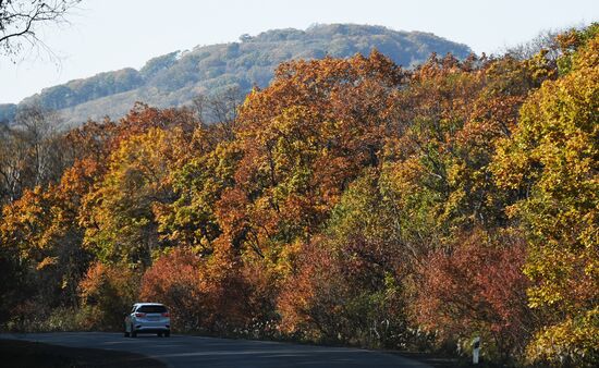 Russia Environment Autumn Season