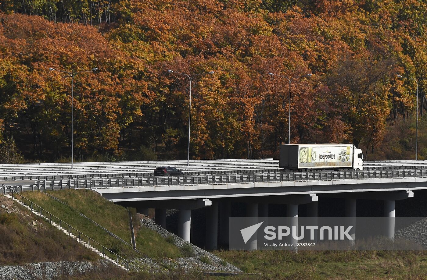 Russia Environment Autumn Season