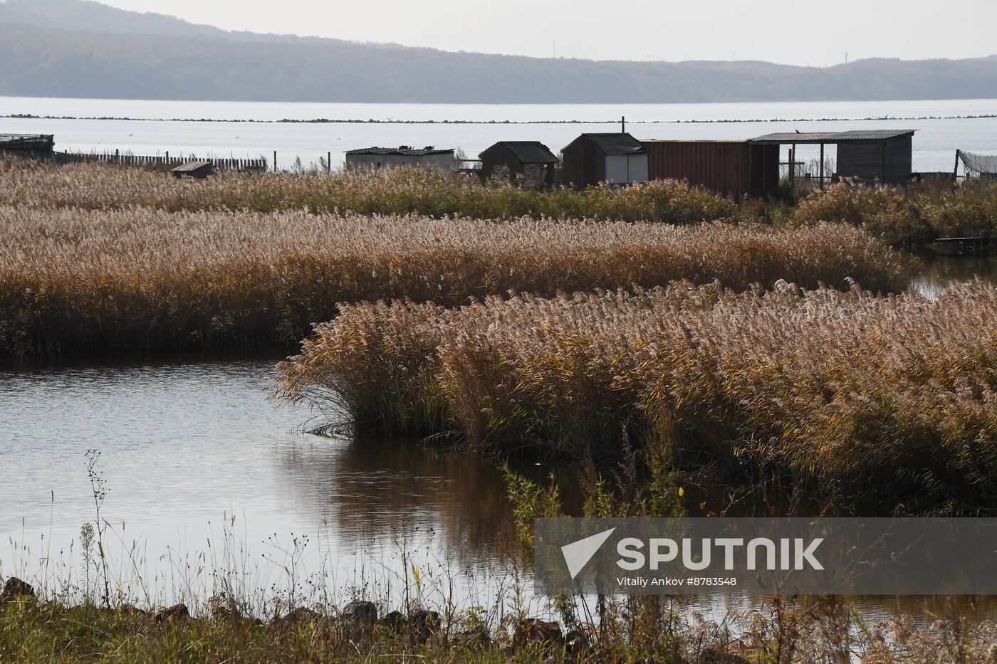 Russia Environment Autumn Season