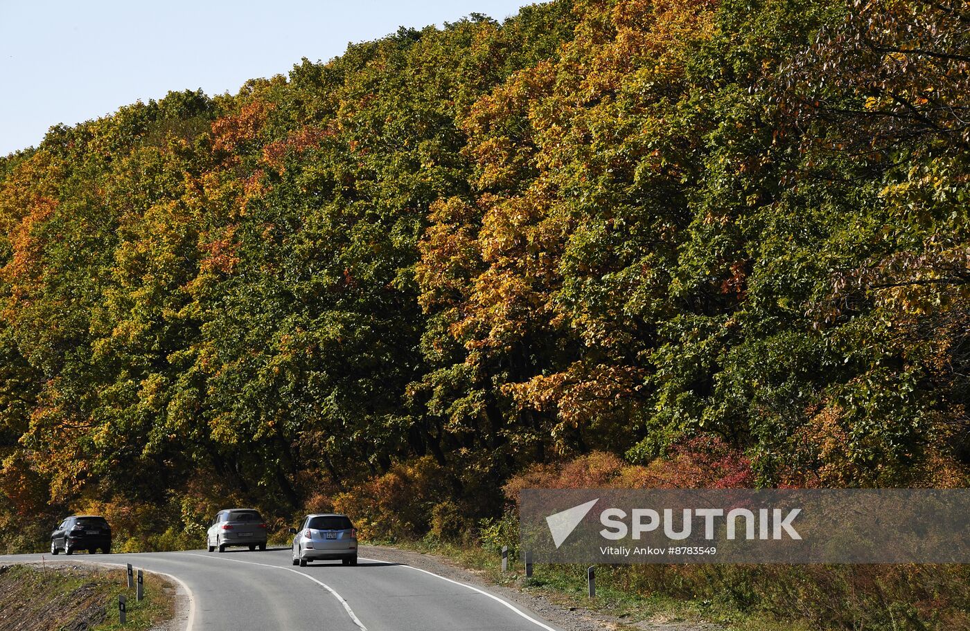 Russia Environment Autumn Season