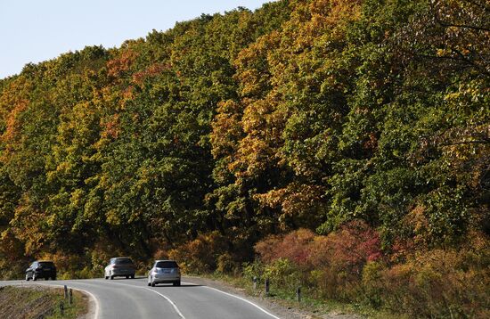 Russia Environment Autumn Season