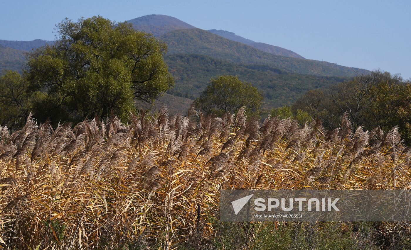 Russia Environment Autumn Season