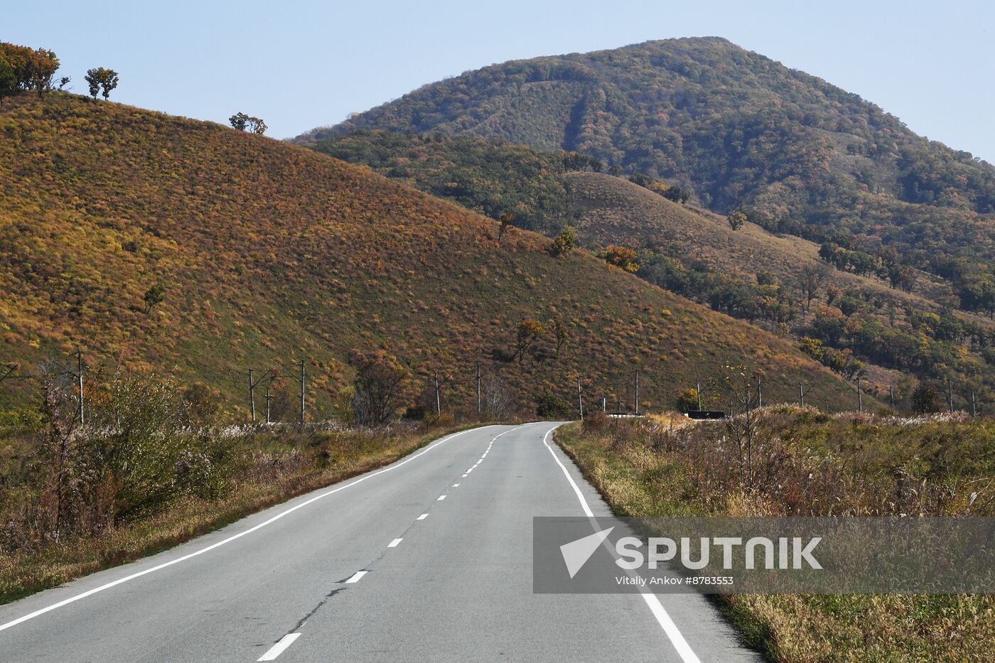 Russia Environment Autumn Season