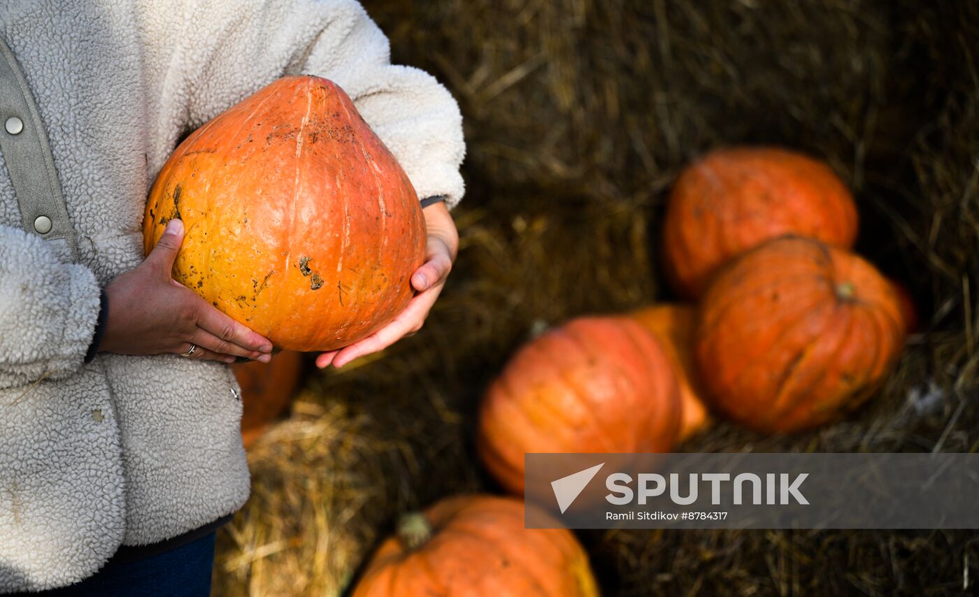 Russia Golden Autumn Festival
