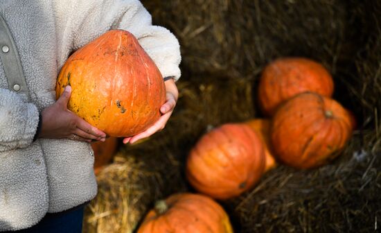 Russia Golden Autumn Festival