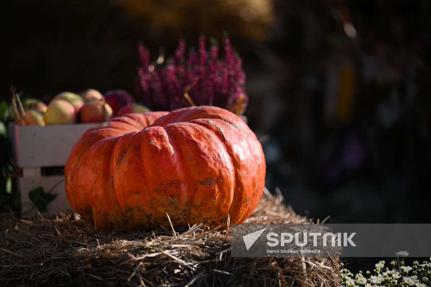 Russia Golden Autumn Festival