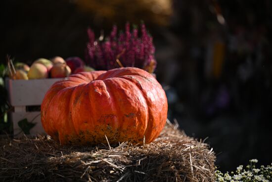 Russia Golden Autumn Festival