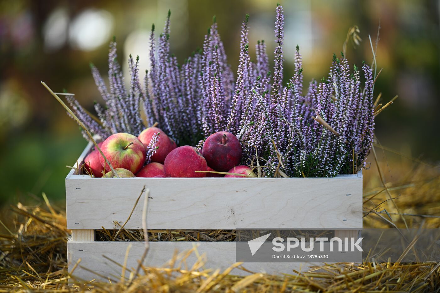 Russia Golden Autumn Festival