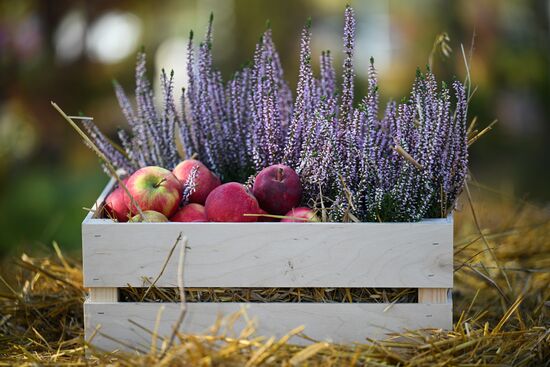 Russia Golden Autumn Festival