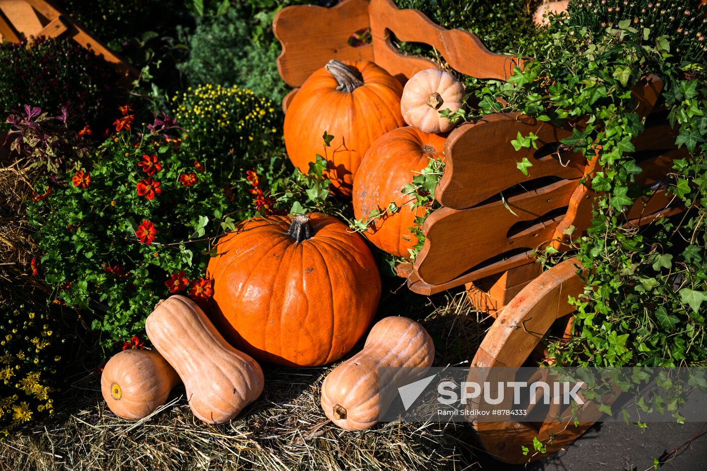 Russia Golden Autumn Festival