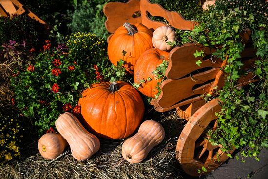 Russia Golden Autumn Festival
