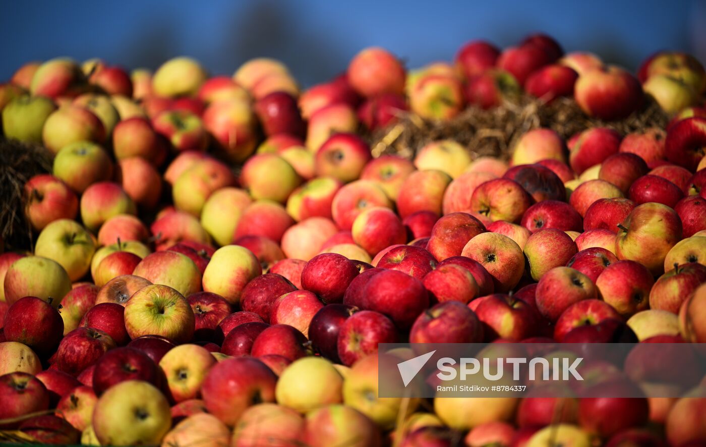 Russia Golden Autumn Festival