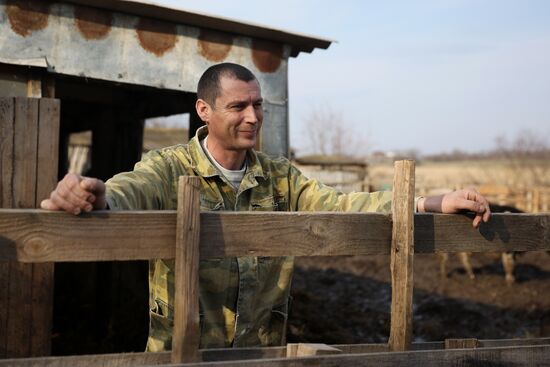 Russia Agriculture Livestock Breeding | Sputnik Mediabank