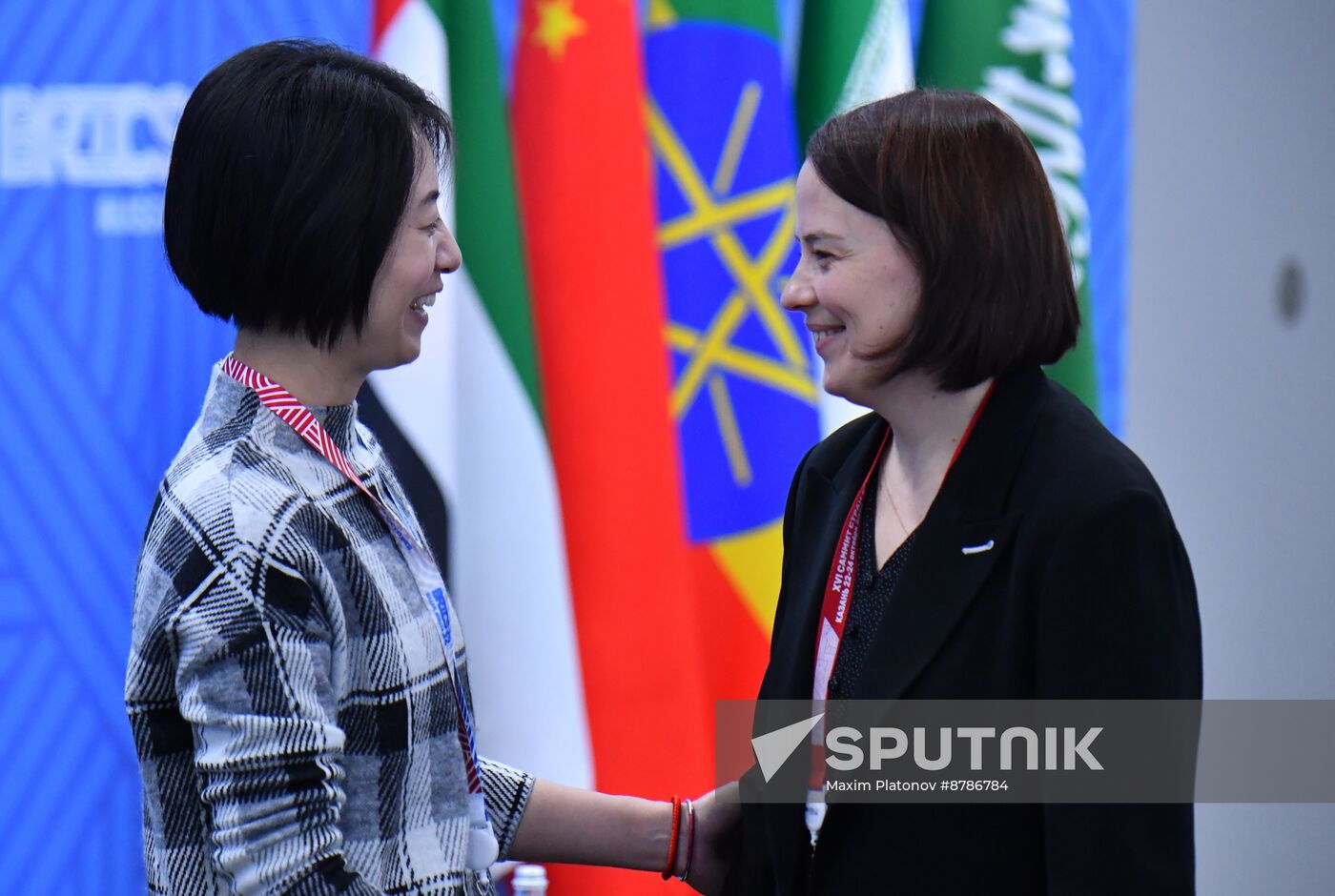 Meeting of BRICS Sherpas/Sous-Sherpas