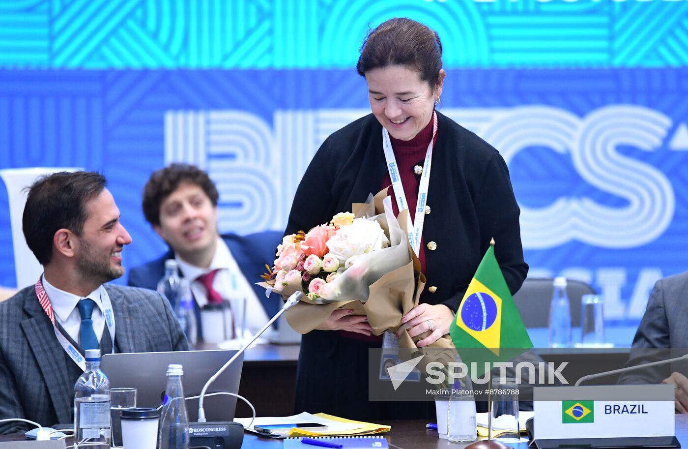 Meeting of BRICS Sherpas/Sous-Sherpas