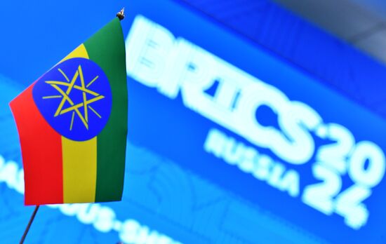 Meeting of BRICS Sherpas/Sous-Sherpas