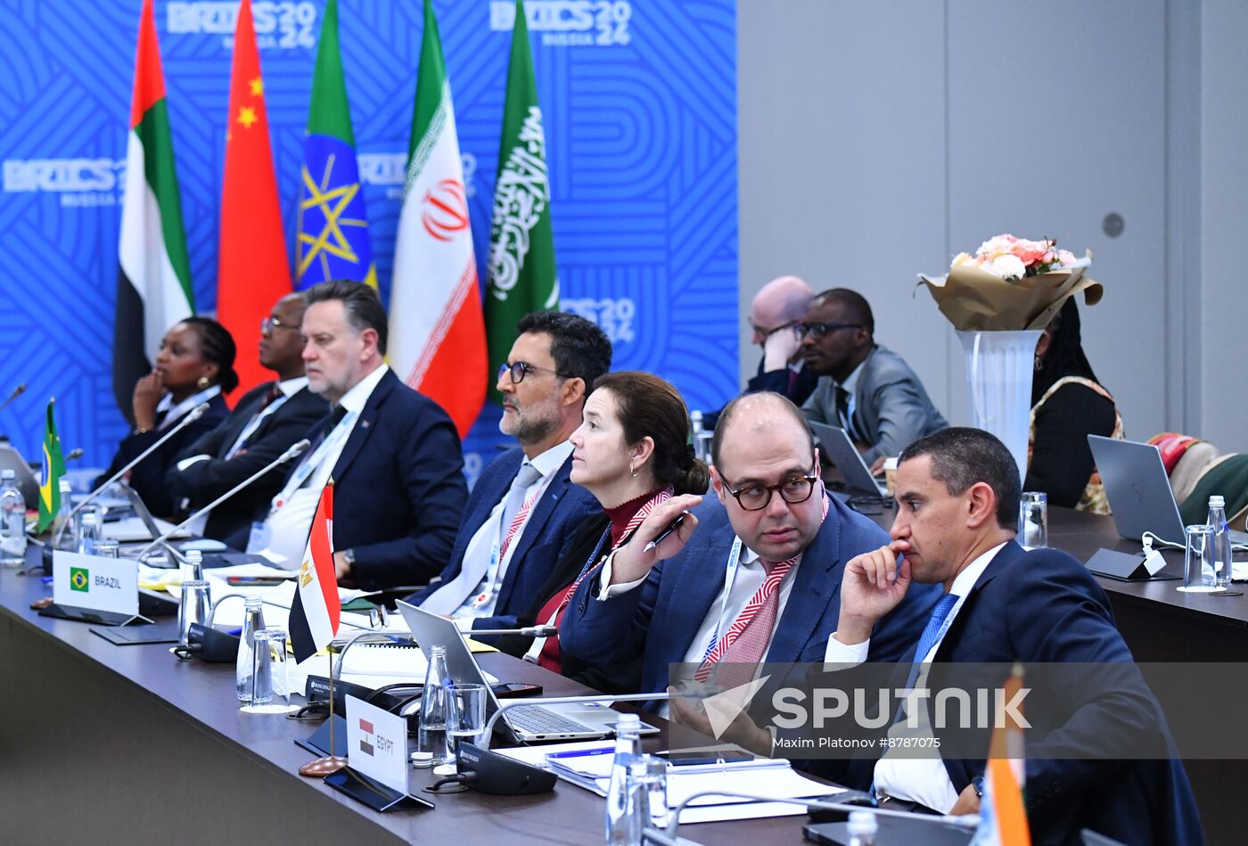 Meeting of BRICS Sherpas/Sous-Sherpas