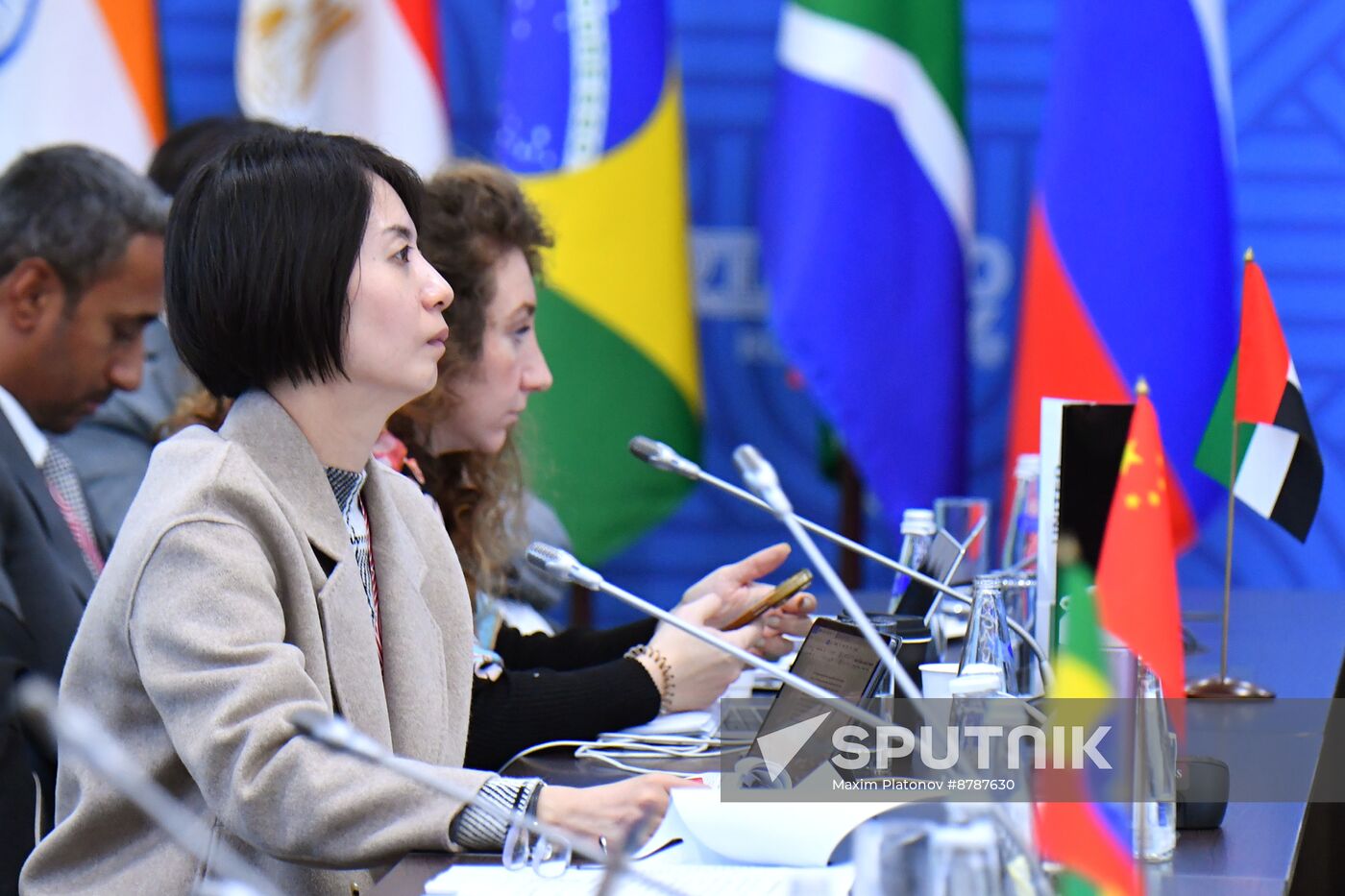 Meeting of BRICS Sherpas/Sous-Sherpas