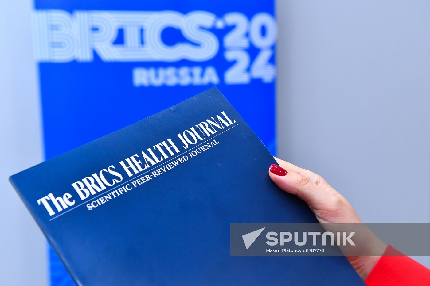 Meeting of BRICS Sherpas/Sous-Sherpas