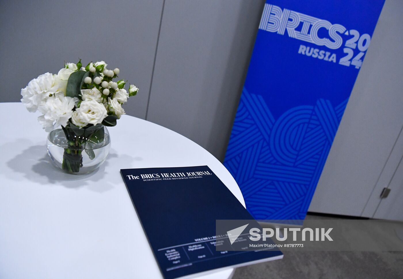 Meeting of BRICS Sherpas/Sous-Sherpas
