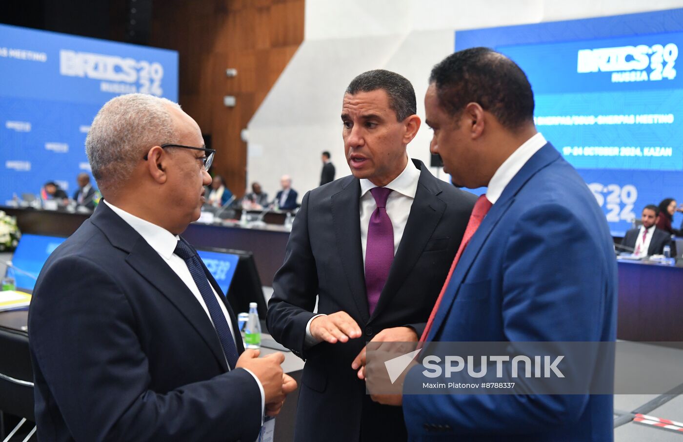 Meeting of BRICS Sherpas/Sous-Sherpas