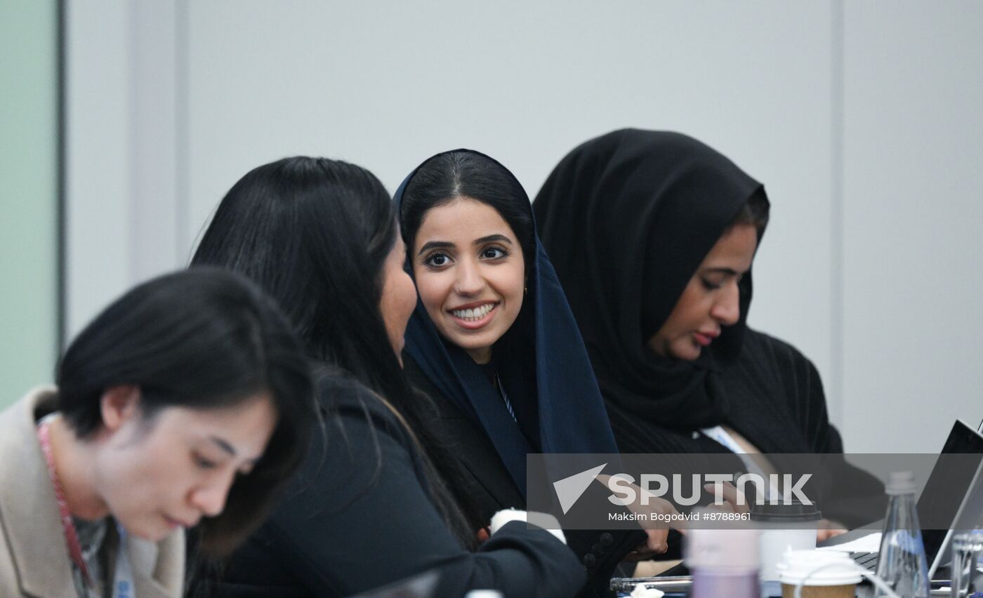 Meeting of BRICS Sherpas/Sous-Sherpas