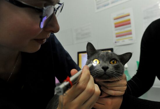 Russia Veterinary Clinic