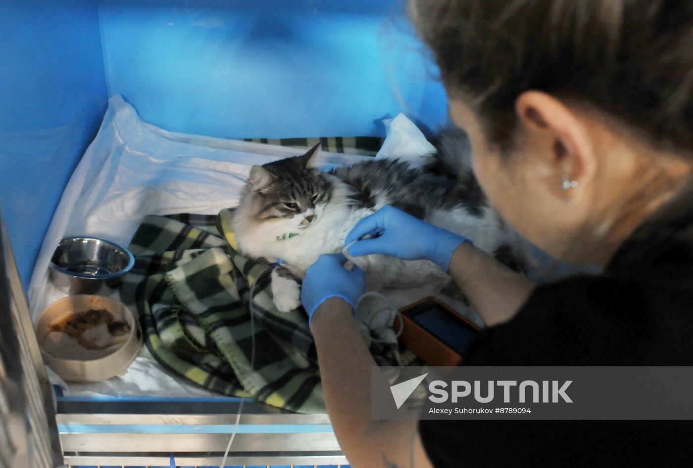 Russia Veterinary Clinic