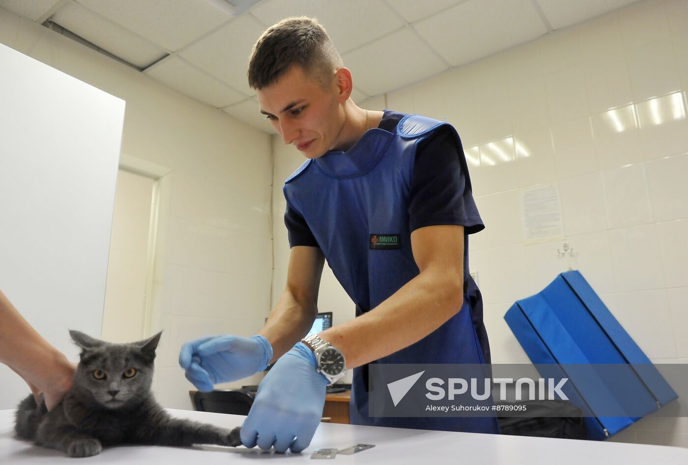 Russia Veterinary Clinic