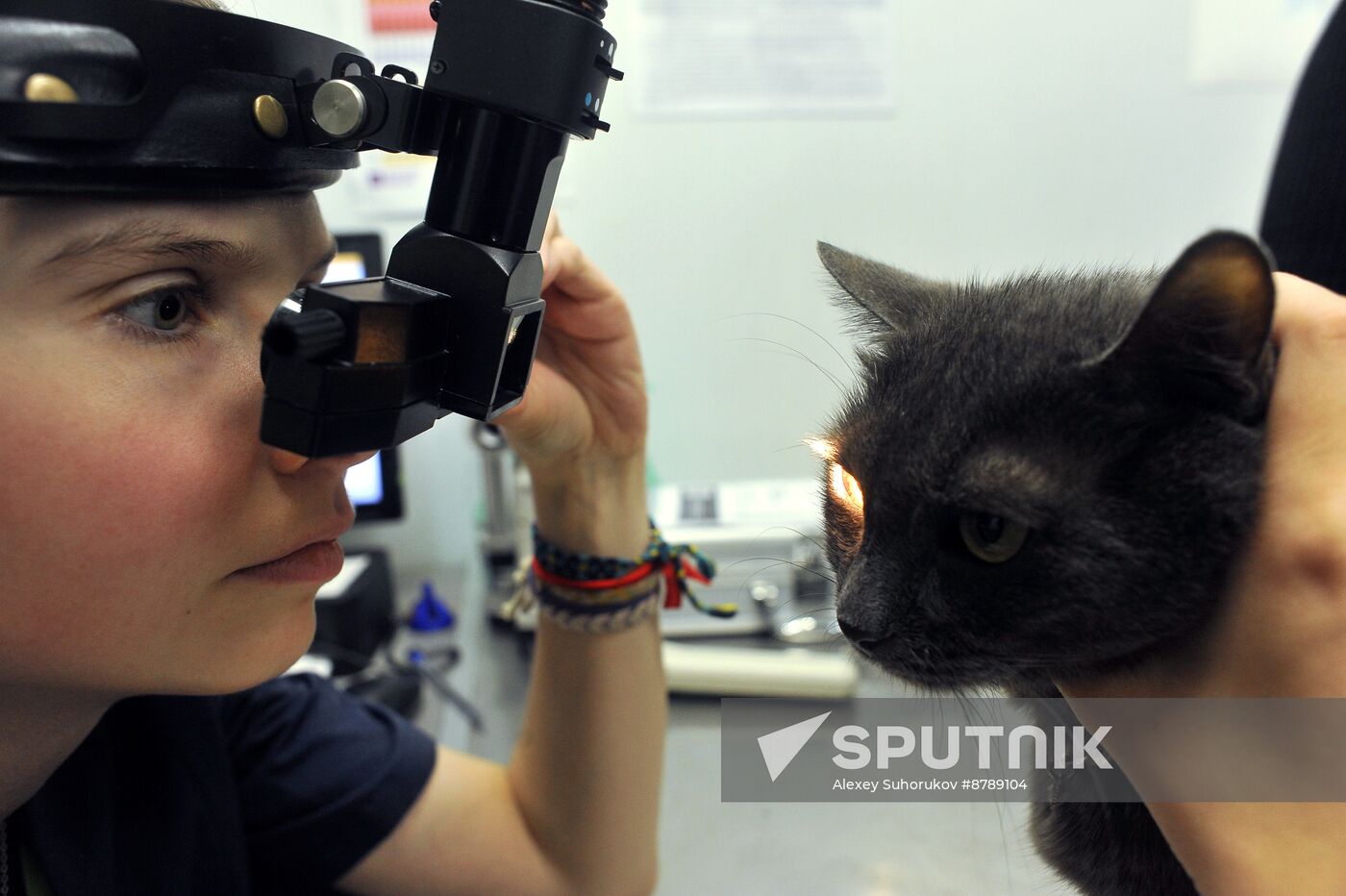 Russia Veterinary Clinic