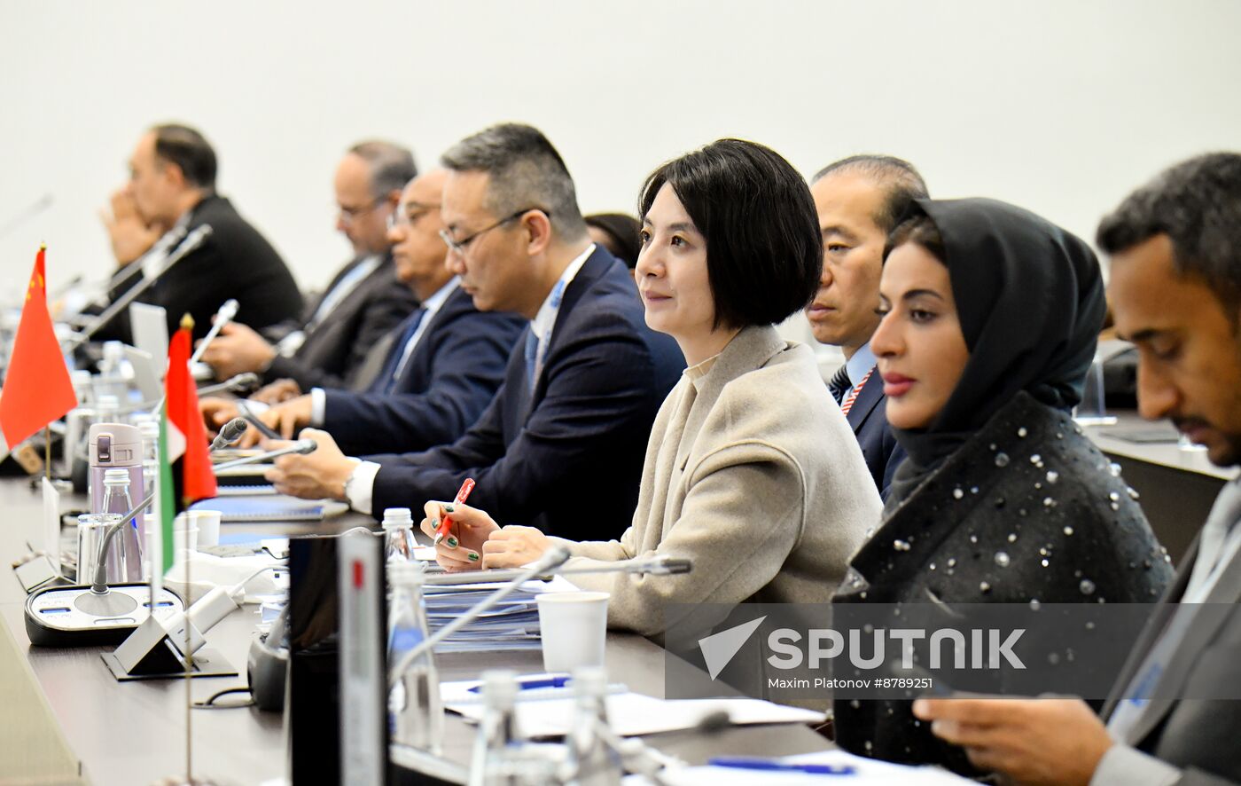 Meeting of BRICS Sherpas/Sous-Sherpas