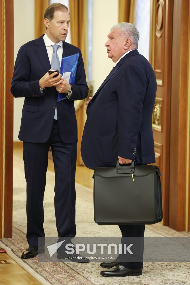 16th BRICS Summit. Russian President Vladimir Putin meets with President of South Africa Cyril Ramaphosa