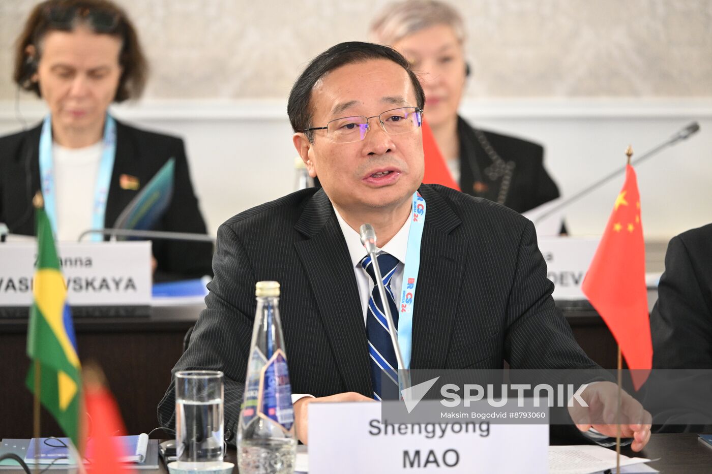 Meeting of BRICS Heads of National Statistical Agencies