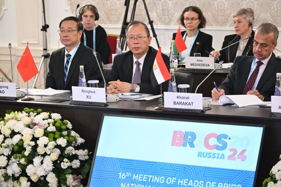 Meeting of BRICS Heads of National Statistical Agencies