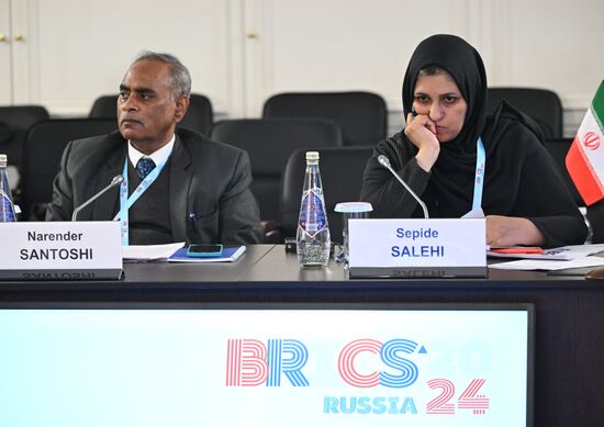 Meeting of BRICS Heads of National Statistical Agencies