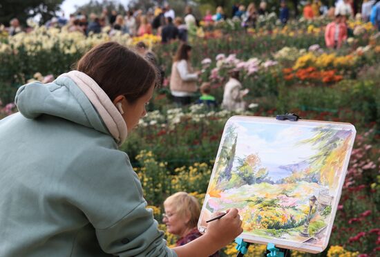 Russia Crimea Chrysanthemum Ball