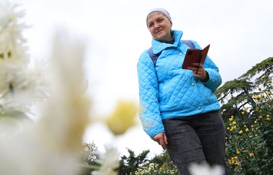 Russia Crimea Chrysanthemum Ball