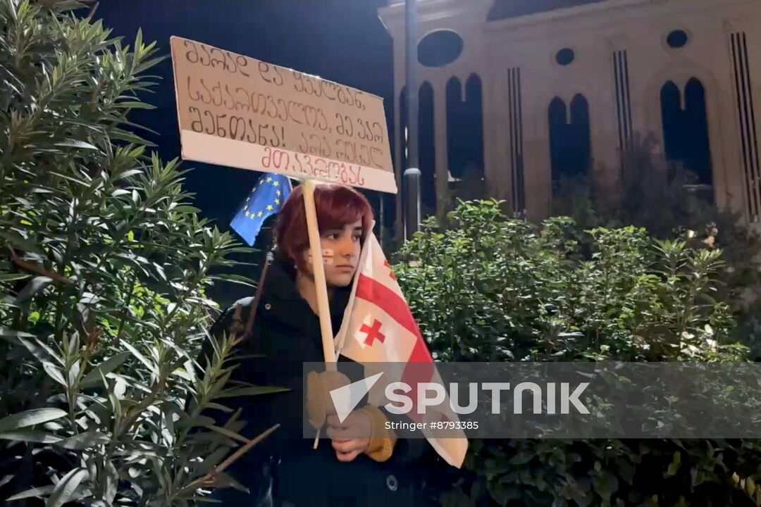 Georgia Protests