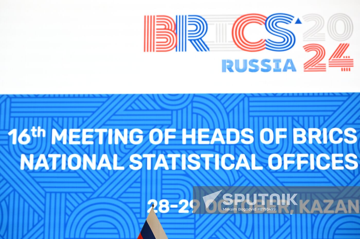 Meeting of BRICS Heads of National Statistical Agencies