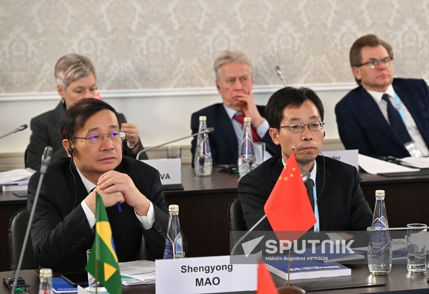 Meeting of BRICS Heads of National Statistical Agencies